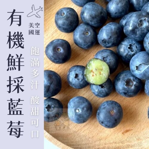 【美國空運】有機藍莓（１２小盒）
