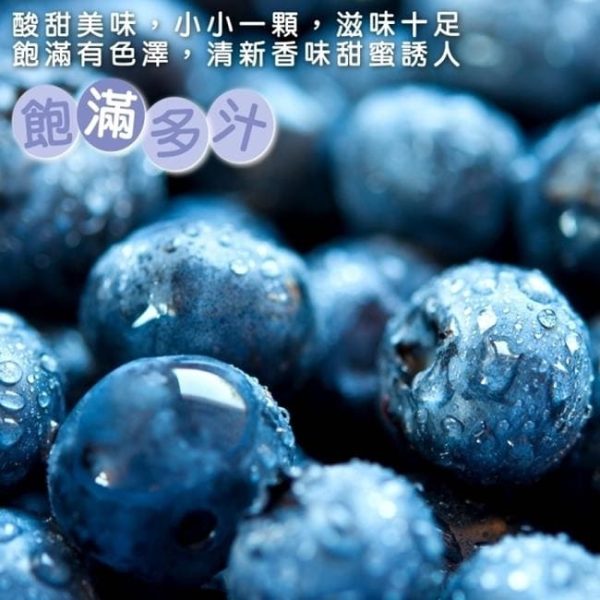 【美國空運】有機藍莓（１２小盒）：圖片 4