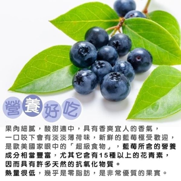 【美國空運】有機藍莓（１２小盒）：圖片 5