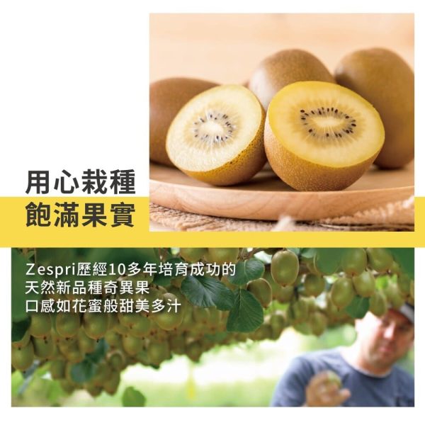 紐西蘭 Zespri 黃金奇異果原裝（18-27入）：圖片 12