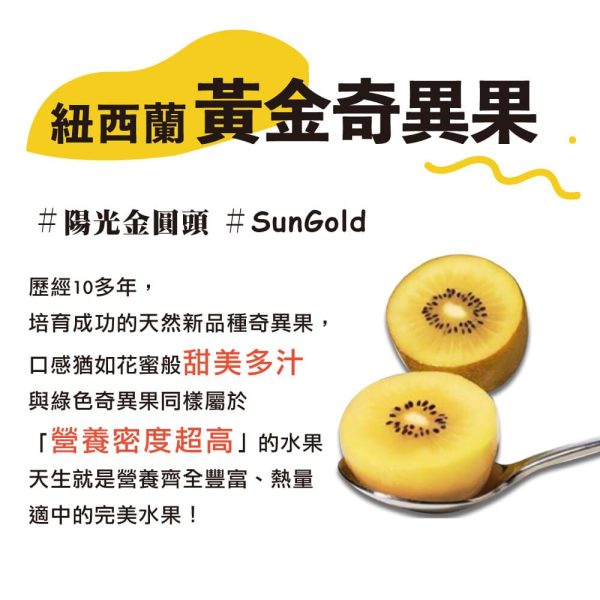 紐西蘭 Zespri 黃金奇異果原裝（18-27入）：圖片 9