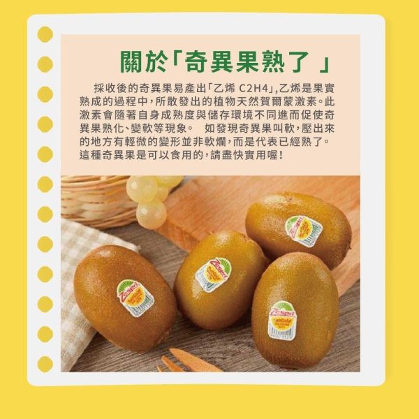 紐西蘭 Zespri 黃金奇異果原裝（18-27入）：圖片 11