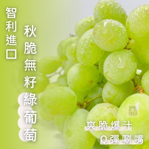【智利進口】秋脆綠無籽葡萄