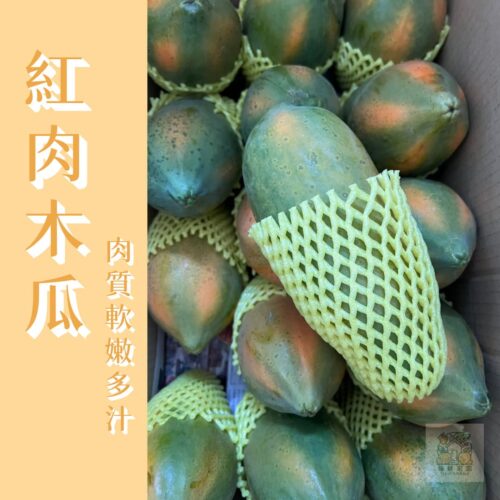 【嚴選】網室紅肉木瓜