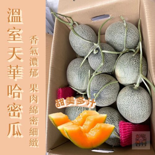 【嚴選】台灣在地天華哈密瓜（２入）